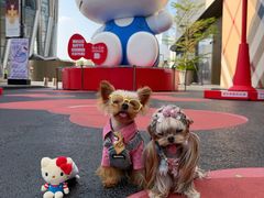 -深圳湾万象城(南山店)