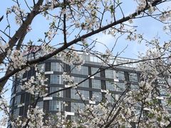 -新天地活力PARK