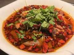 -浅深Cheersum(曹杨店)