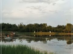 -群力丁香公园