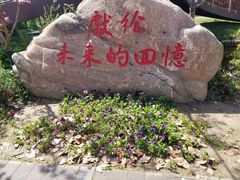 -上海长兴岛郊野公园