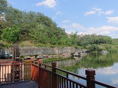 -重庆彩云湖湿地公园