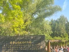 -文瀛公园