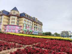 -百万葵园