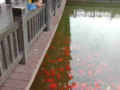 -枫香湖儿童公园