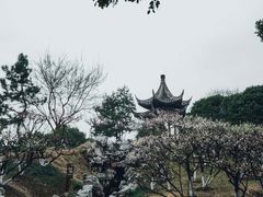 -盘门景区