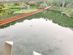 -梅峰山地公园