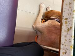 -新辉港式茶餐厅(北栅店)