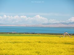 -青海湖国家重点风景名胜区