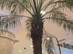 -逸派咖啡 EPARKCOFFEE(广安门店)