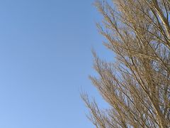 -盐湖景区