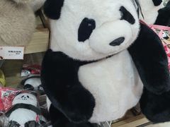 -熊猫邮局(少城店)