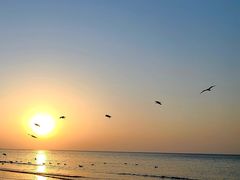 -威海国际海水浴场旅游区