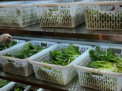 -麒麟豆汤圆子火锅(川心小区店)