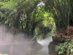 -川西竹海景区