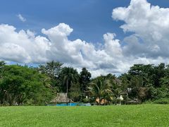 -中国科学院西双版纳热带植物园