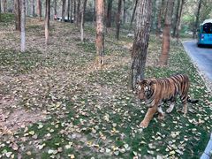 -北京野生动物园