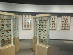 -陕西自然博物馆