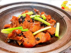 -五棵树•粤西高凉菜(琶洲店)