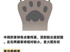 -小猫来了·猫咪专售(红山六九七九店)