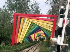 -合肥滨湖国家森林公园