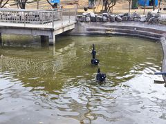 -森林公园(尖草坪区)