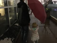 -梧桐餐厅(泉城路店)