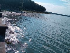 -丁香湖公园
