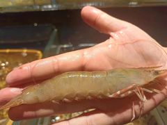 -龙宴海鲜城(经中路店)
