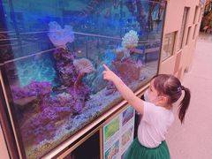 -陕西自然博物馆