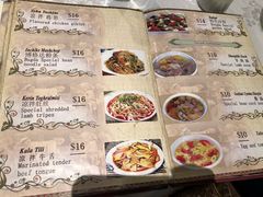 菜单-新疆风味特色美食