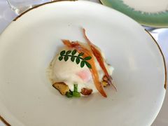 -蝶舍·MAISON PAPILLON