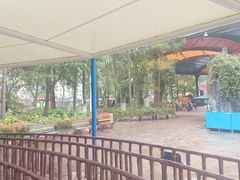 -杭州乐园