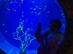 -华夏文旅海洋公园