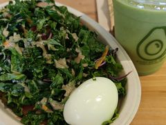 -油梨树AVOCADO TREE(望京店)