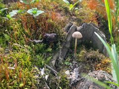 -盘龙城国家考古遗址公园