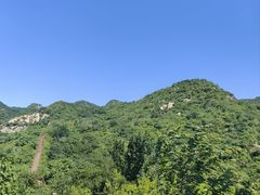 -大岭沟猕猴桃谷风景区
