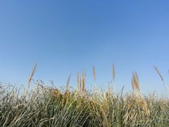 -上海山野camping·户外天幕烧烤·团建拓展营地