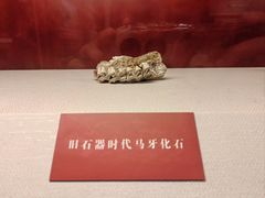 -王府井古人类文化遗址博物馆