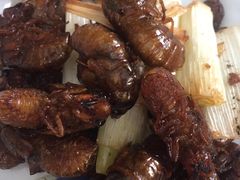 -回味南塘老王虾尾(总店)