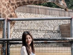 -泉州海丝野生动物世界