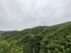 -莫干山风景区