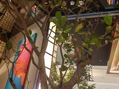 -桂满陇·海市蜃楼·黑金(国金店)