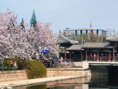 -元大都城垣遗址公园