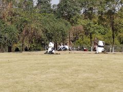 -沙河三洞古桥公园