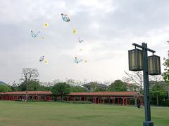 -顺峰山公园