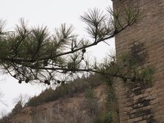 -延安杨家岭革命旧址