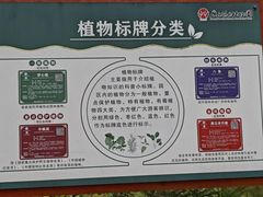 -广西壮族自治区药用植物园