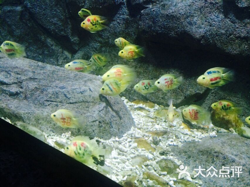 蠡湖中央公园海底世界海底世界图片 - 第900张