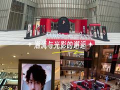 -港汇恒隆广场